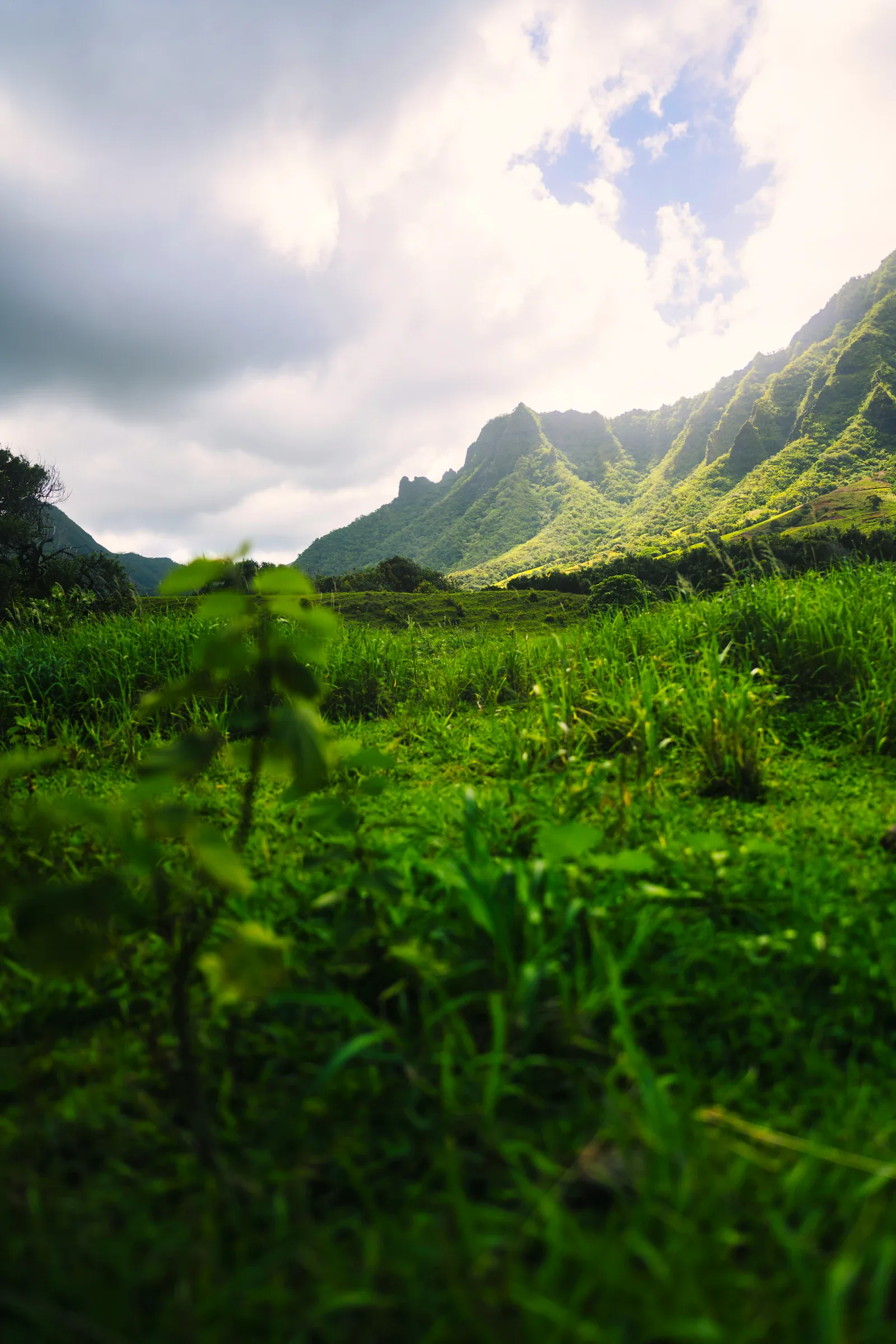 Green valley beneath the mountain cliffs at Kualoa Ranch